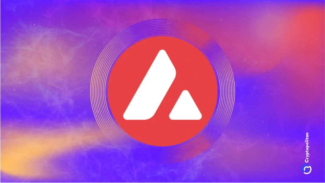 Avalanche foresees a future Built on cistom blockchains