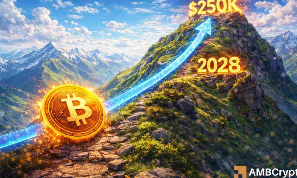 How high will Bitcoin's price go after the next halving cycle?