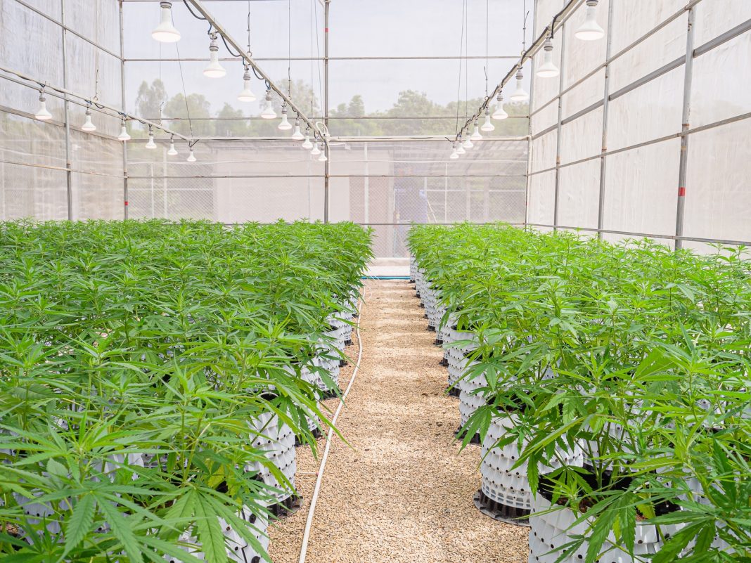 Innovative Industrial Properties: 13% Yield Just Got De-Risked, Yet The Market Is Asleep