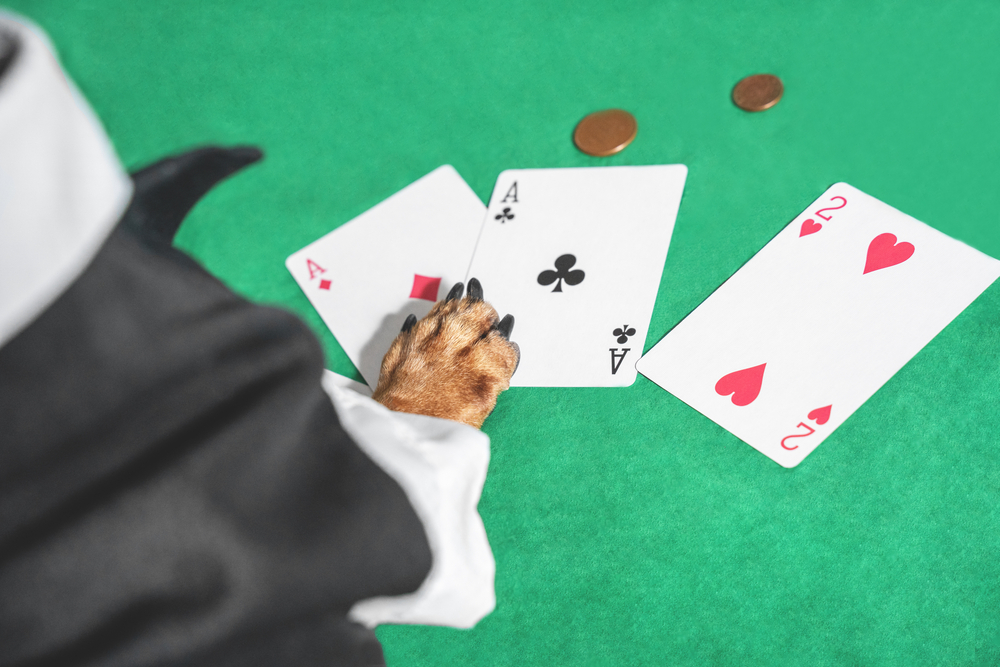 This High-Yield ETF Is Home to Some Excellent REITs