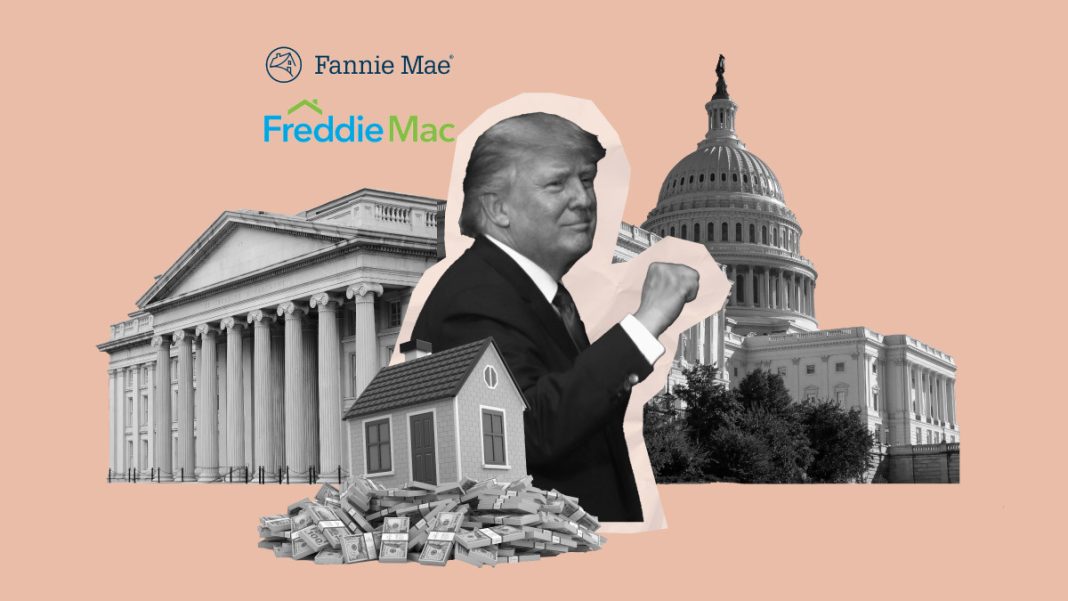 Trump says Fannie Mae, Freddie Mac IPO still on the table
