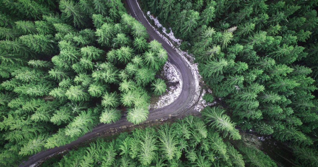 When Heirs Inherit Forestland, They Get More Than Trees
